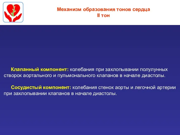 Механизм образования тонов сердца II тон Клапанный компонент: колебания при захлопывании полулунных