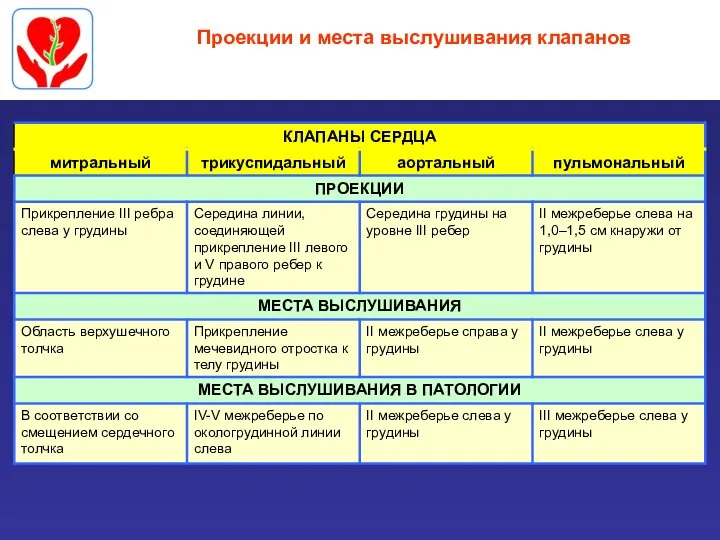 Проекции и места выслушивания клапанов