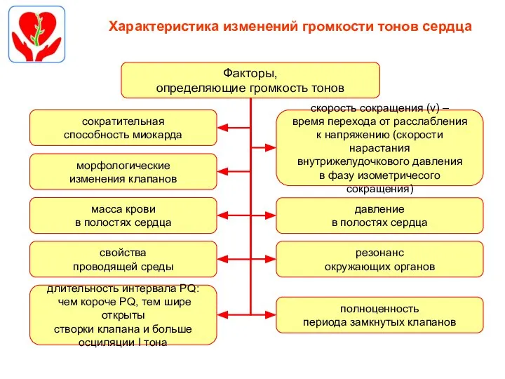 Характеристика изменений громкости тонов сердца Факторы, определяющие громкость тонов сократительная способность миокарда