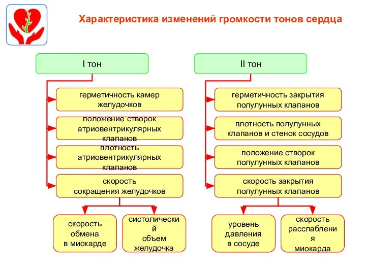 Характеристика изменений громкости тонов сердца герметичность камер желудочков I тон положение створок