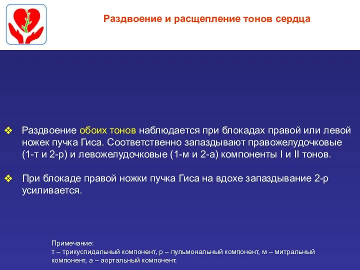 Раздвоение и расщепление тонов сердца Раздвоение обоих тонов наблюдается при блокадах правой