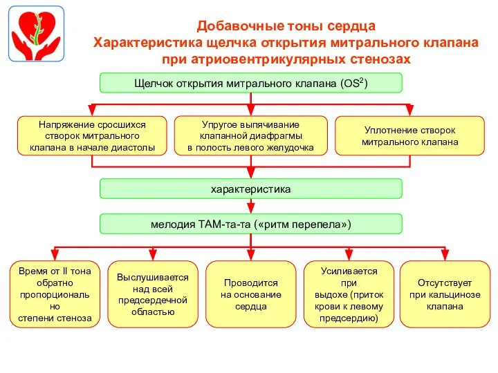 Добавочные тоны сердца Характеристика щелчка открытия митрального клапана при атриовентрикулярных стенозах Напряжение