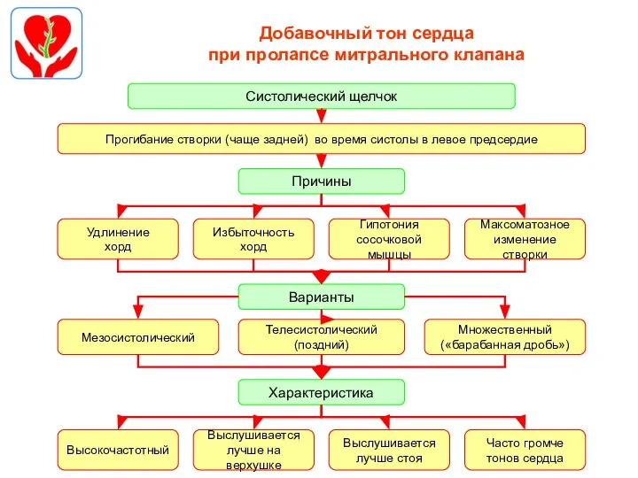 Добавочный тон сердца при пролапсе митрального клапана Систолический щелчок Удлинение хорд Прогибание