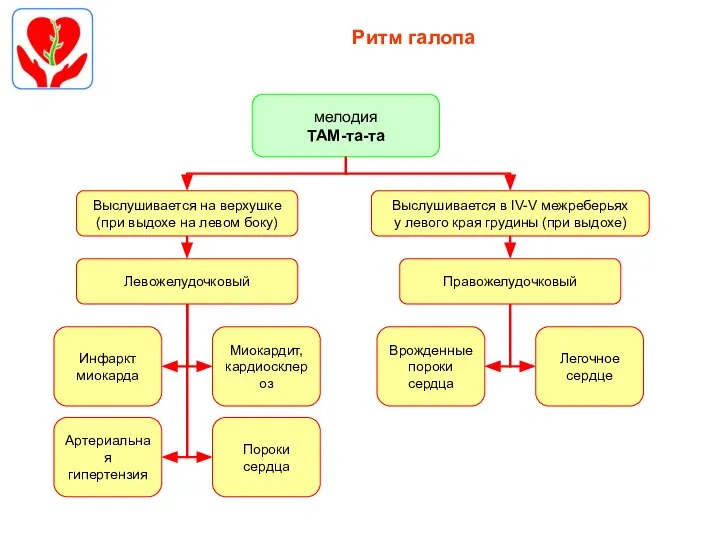 Ритм галопа Левожелудочковый Выслушивается на верхушке (при выдохе на левом боку) Инфаркт