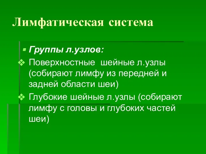 Лимфатическая система Группы л.узлов: Поверхностные шейные л.узлы (собирают лимфу из передней и