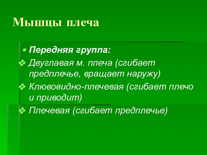 Мышцы плеча Передняя группа: Двуглавая м. плеча (сгибает предплечье, вращает наружу) Клювовидно-плечевая