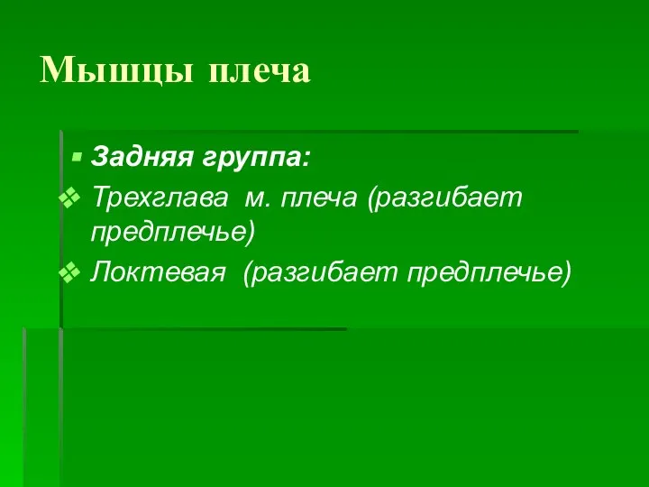 Мышцы плеча Задняя группа: Трехглава м. плеча (разгибает предплечье) Локтевая (разгибает предплечье)