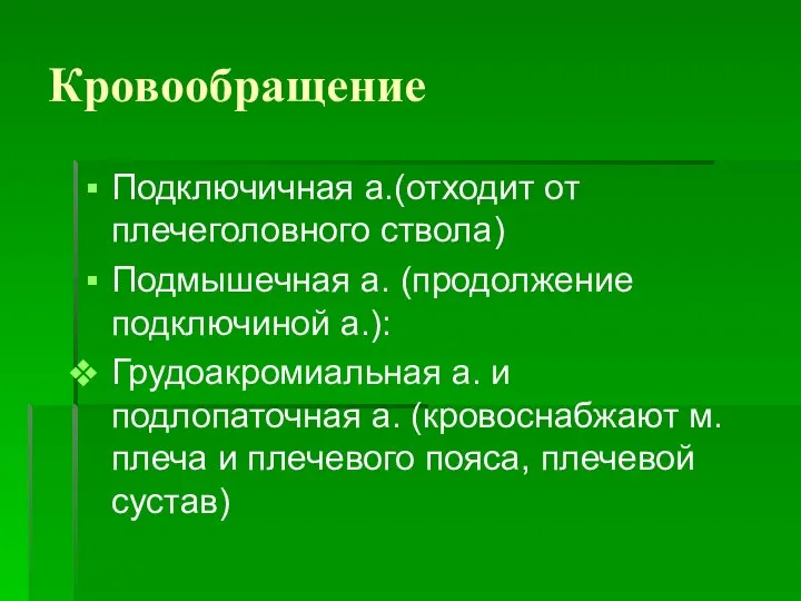 Кровообращение Подключичная а.(отходит от плечеголовного ствола) Подмышечная а. (продолжение подключиной а.): Грудоакромиальная