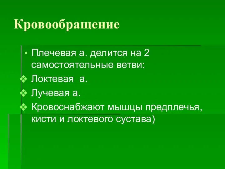 Кровообращение Плечевая а. делится на 2 самостоятельные ветви: Локтевая а. Лучевая а.