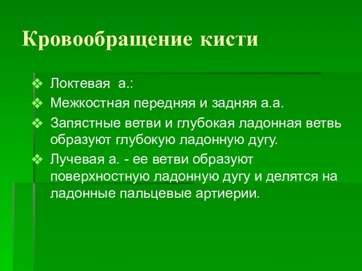 Кровообращение кисти Локтевая а.: Межкостная передняя и задняя а.а. Запястные ветви и