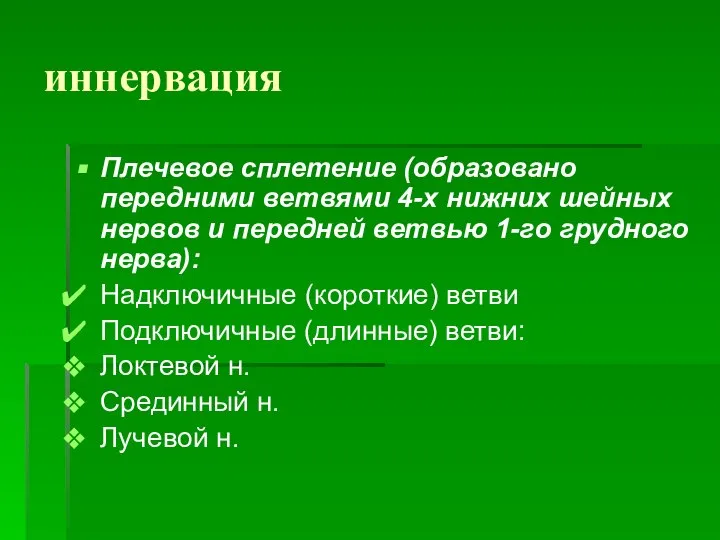 иннервация Плечевое сплетение (образовано передними ветвями 4-х нижних шейных нервов и передней