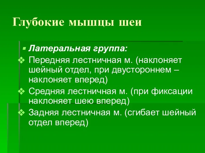 Глубокие мышцы шеи Латеральная группа: Передняя лестничная м. (наклоняет шейный отдел, при