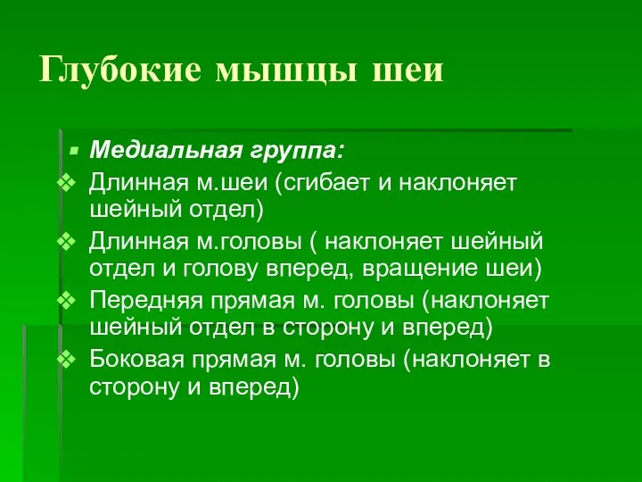 Глубокие мышцы шеи Медиальная группа: Длинная м.шеи (сгибает и наклоняет шейный отдел)