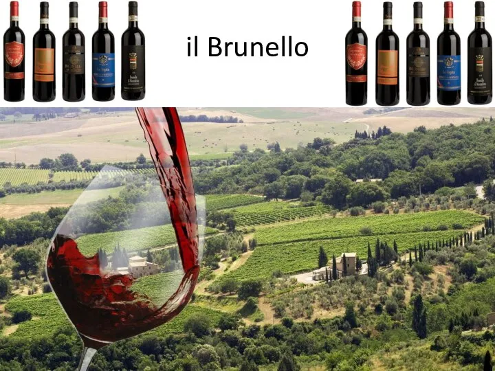 il Brunello