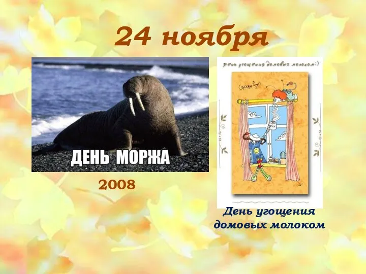 24 ноября 2008 День угощения домовых молоком