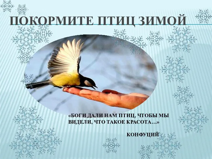 ПОКОРМИТЕ ПТИЦ ЗИМОЙ «БОГИ ДАЛИ НАМ ПТИЦ, ЧТОБЫ МЫ ВИДЕЛИ, ЧТО ТАКОЕ КРАСОТА…» КОНФУЦИЙ