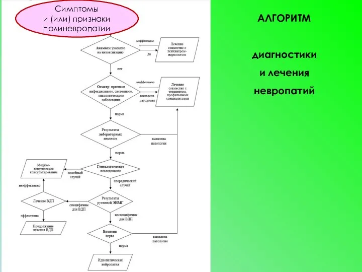 АЛГОРИТМ диагностики и лечения невропатий Симптомы и (или) признаки полиневропатии