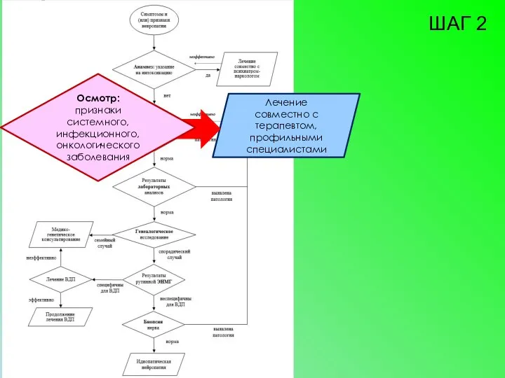 Лечение совместно с терапевтом, профильными специалистами ШАГ 2 Осмотр: признаки системного, инфекционного, онкологического заболевания