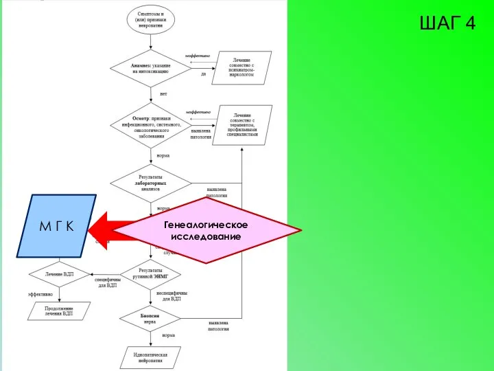 М Г К ШАГ 4 Генеалогическое исследование