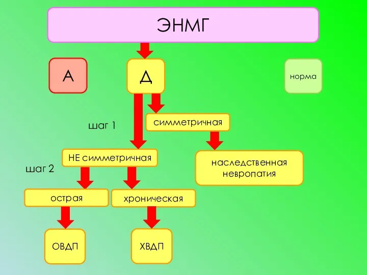 ЭНМГ А Д норма НЕ симметричная симметричная наследственная невропатия ХВДП ОВДП хроническая