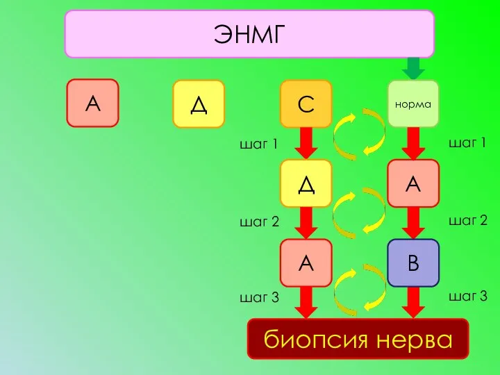 ЭНМГ А Д С норма А Д шаг 1 шаг 2 биопсия