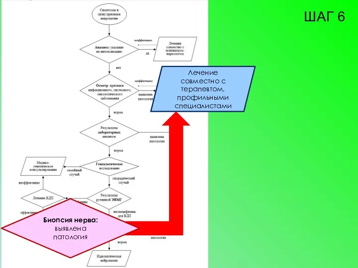 Лечение совместно с терапевтом, профильными специалистами ШАГ 6 Биопсия нерва: выявлена патология