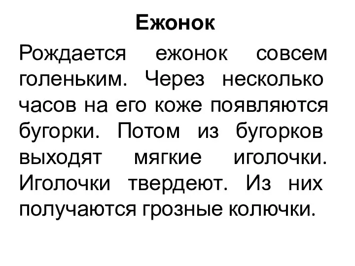 Ежонок Рождается ежонок совсем голеньким. Через несколько часов на его коже появляются