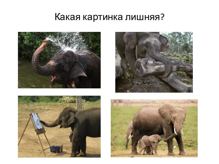 Какая картинка лишняя?