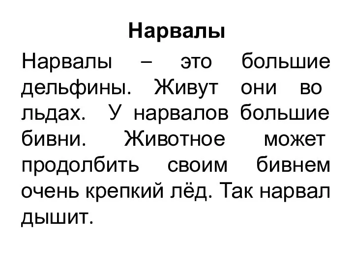 Нарвалы Нарвалы – это большие дельфины. Живут они во льдах. У нарвалов