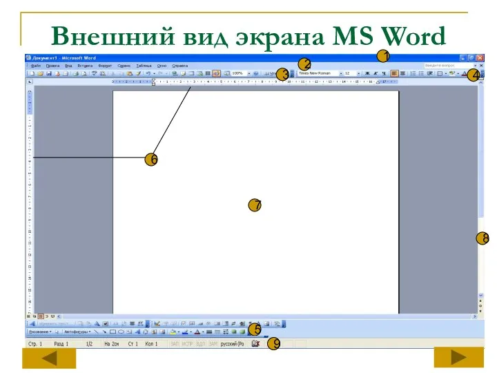Внешний вид экрана MS Word 1 2 3 4 5 6 7 8 9