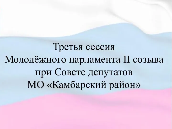 Третья сессия Молодёжного парламента II созыва при Совете депутатов МО «Камбарский район»