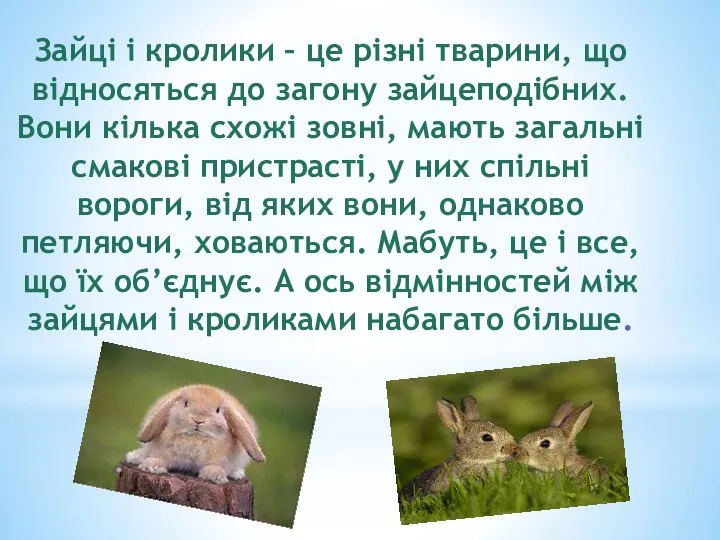 Зайці і кролики – це різні тварини, що відносяться до загону зайцеподiбних.