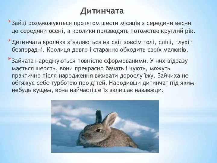 Дитинчата Зайці розмножуються протягом шести місяців з середини весни до середини осені,