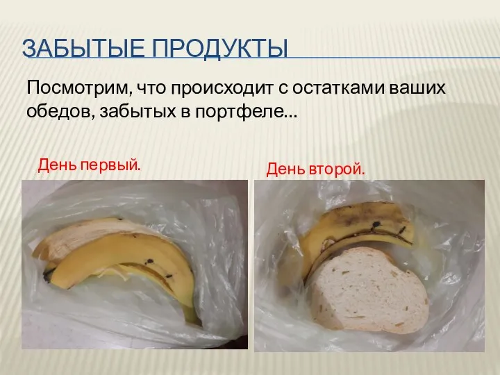 ЗАБЫТЫЕ ПРОДУКТЫ Посмотрим, что происходит с остатками ваших обедов, забытых в портфеле… День второй. День первый.