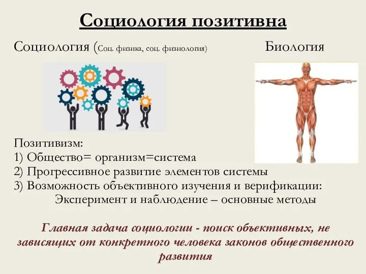 Социология позитивна Социология (Соц. физика, соц. физиология) Биология Позитивизм: 1) Общество= организм=система
