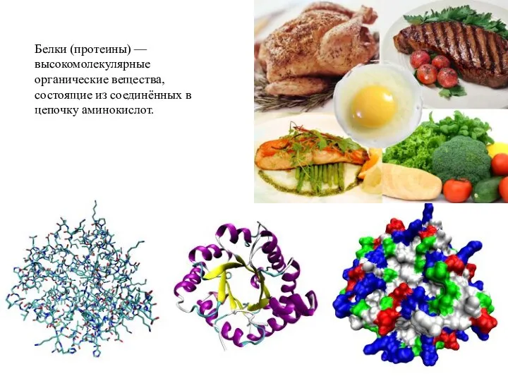 Белки (протеины) — высокомолекулярные органические вещества, состоящие из соединённых в цепочку аминокислот.
