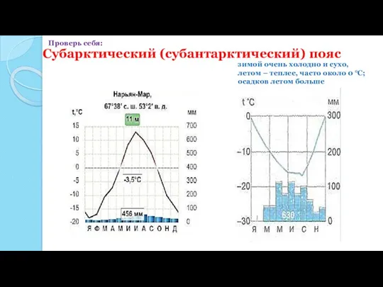 Субарктический (субантарктический) пояс зимой очень холодно и сухо, летом – теплее, часто