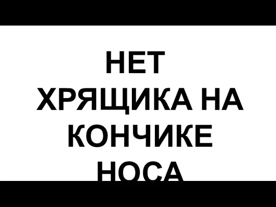 НЕТ ХРЯЩИКА НА КОНЧИКЕ НОСА