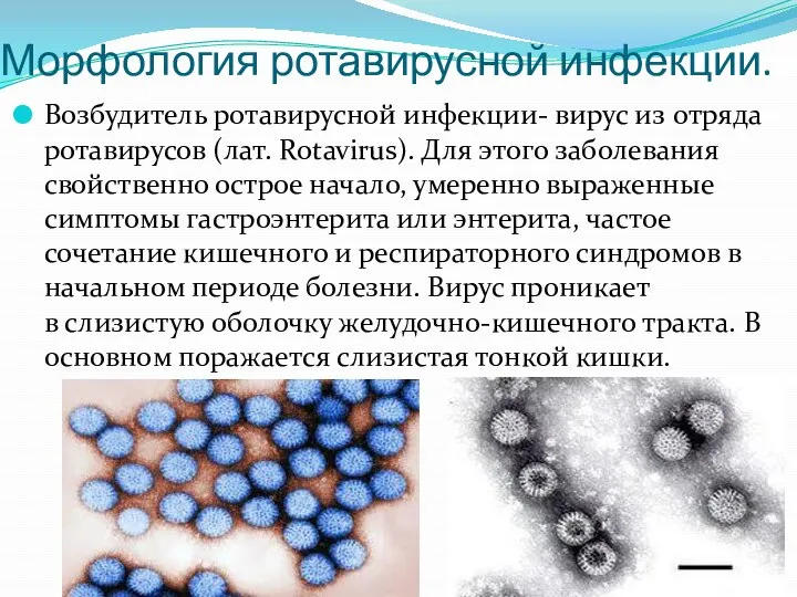 Морфология ротавирусной инфекции. Возбудитель ротавирусной инфекции- вирус из отряда ротавирусов (лат. Rotavirus).