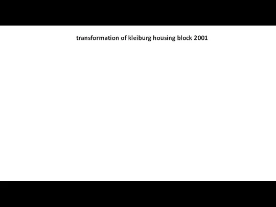 transformation of kleiburg housing block 2001