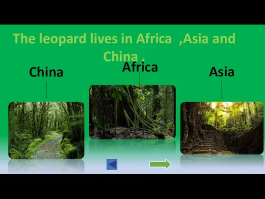 The leopard lives in Africa ,Asia and China . China Africa Asia