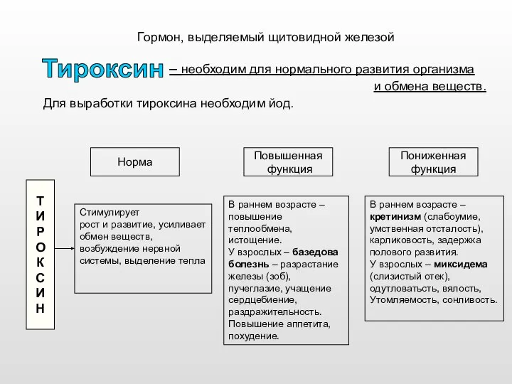 Гормон, выделяемый щитовидной железой – необходим для нормального развития организма и обмена