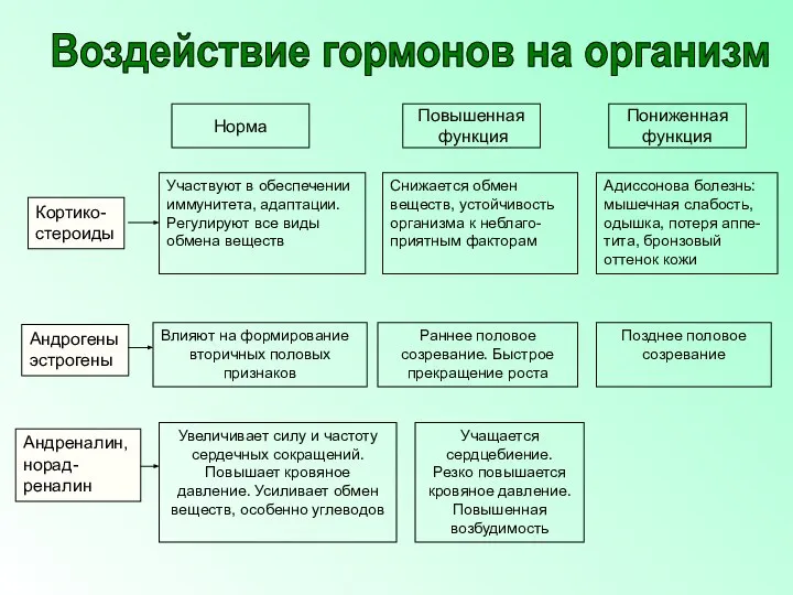 Норма Повышенная функция Пониженная функция Кортико- стероиды Участвуют в обеспечении иммунитета, адаптации.