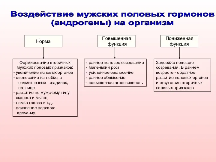 Норма Повышенная функция Пониженная функция Формирование вторичных мужских половых признаков: увеличение половых