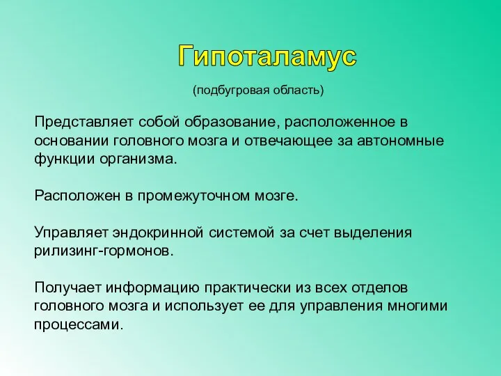 (подбугровая область) Представляет собой образование, расположенное в основании головного мозга и отвечающее