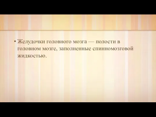 Желудочки головного мозга — полости в головном мозге, заполненные спинномозговой жидкостью.