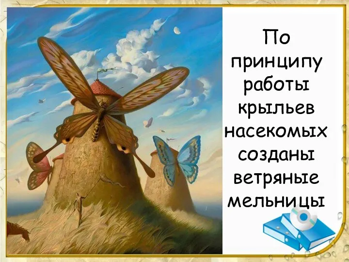 По принципу работы крыльев насекомых созданы ветряные мельницы