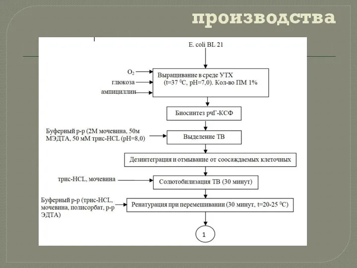 Эскизная схема производства