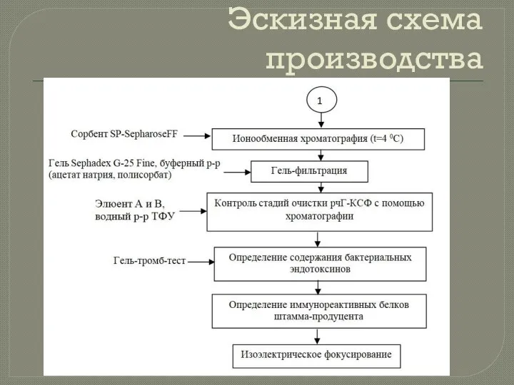 Эскизная схема производства