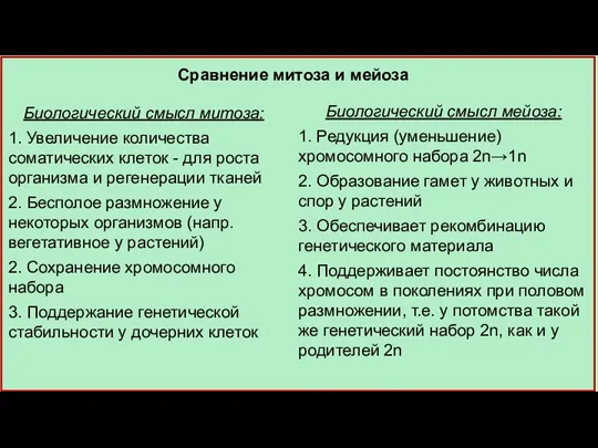 Сравнение митоза и мейоза Биологический смысл митоза: 1. Увеличение количества соматических клеток